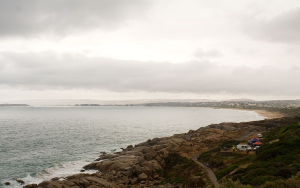The shore-based whalers of Encounter Bay