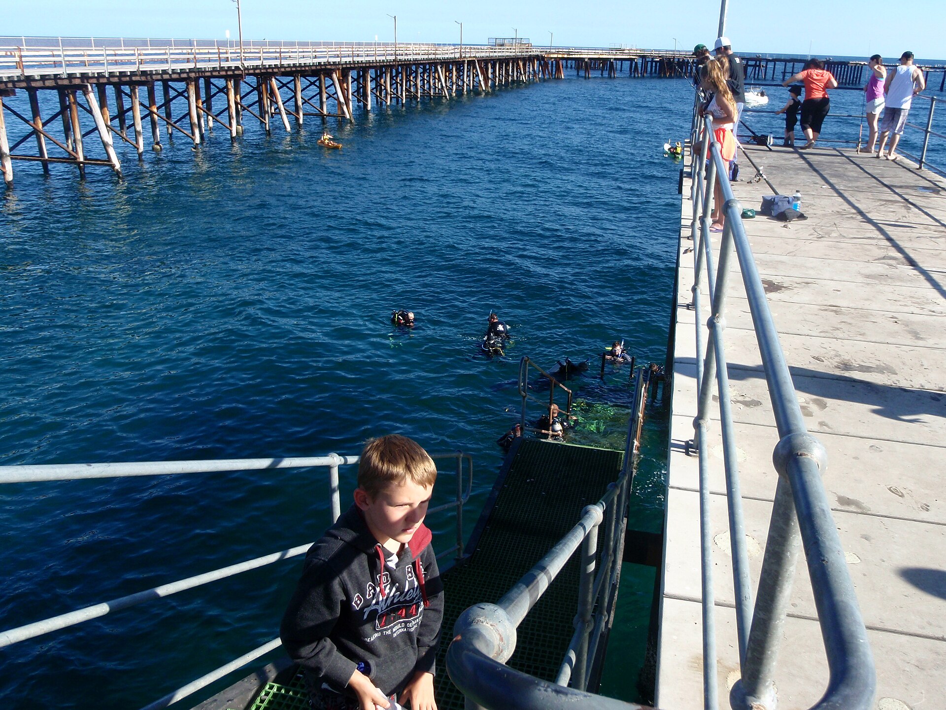 Rapid Bay Jetty Dive Site